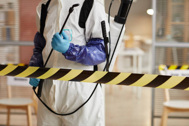 Professional Sewage Cleanup technician working in Ogden, NC